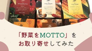 【口コミ】「野菜をMOTTO」をお取り寄せしてみたら、お中元やお歳暮、離れて暮らす親や子どもにおすすめだった
