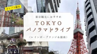 【東京観光におすすめ】２階建てオープンバスで行くＴＯＫＹＯパノラマドライブ（レインボーブリッジ＆銀座）が穴場だった